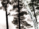crane-boom-shot