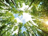 iStock_000021572265Medium