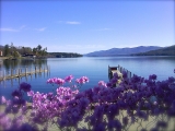 spring-lg