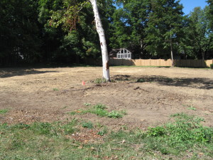 High Peaks Land Clearing