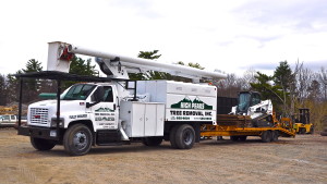 bucket truck bobcat