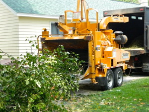 High Peaks Tree Removal Chipper