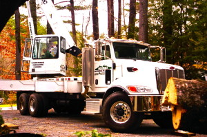 tree removal crane