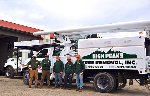 high peaks tree removal crew