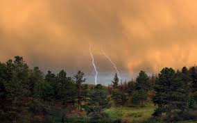 High Peaks Storm Damage and Clean Up Emergency Services